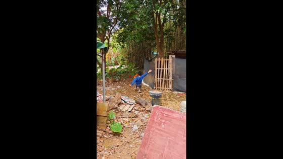 Boy slips while chasing rooster and gets chased back in Guangxi, China