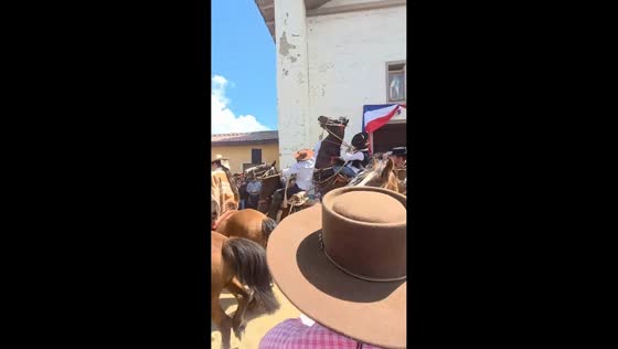 Horse rears and throws rider during religious parade in San Javier, Chile