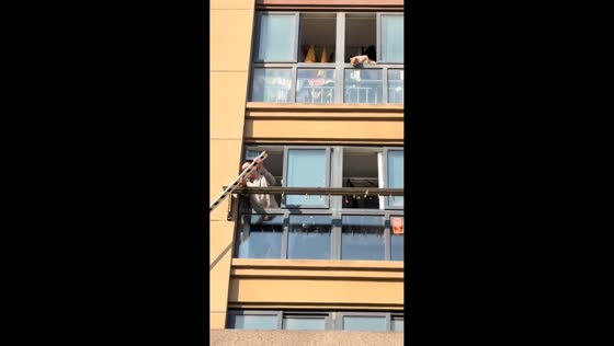 Curious cat supervises neighbor’s retrieval attempt in Jiangsu, China