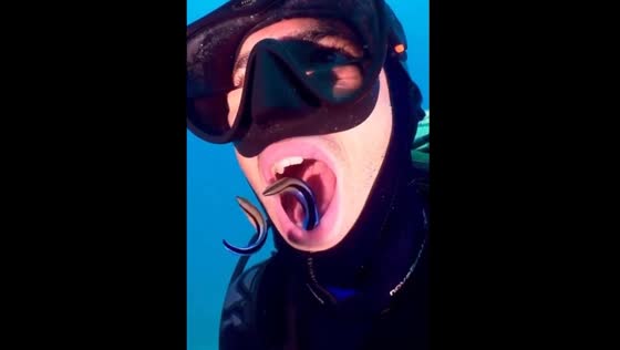 Fish cleaning the diver's teeth!