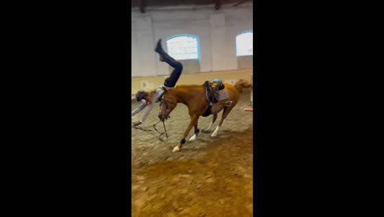Horse clips jump pole, throwing rider off during training session in Kiskunhalas, Hungary