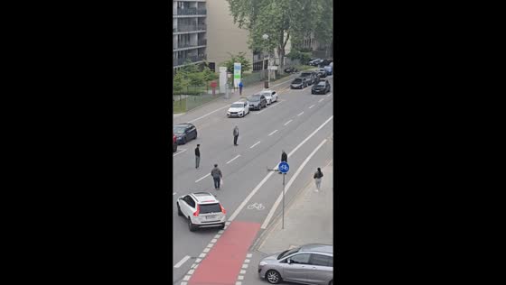 Citizens help duck family cross busy road in Regensburg, Germany