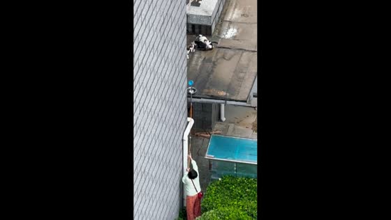 Elderly woman provides water to cats on rooftop in Beijing, China 