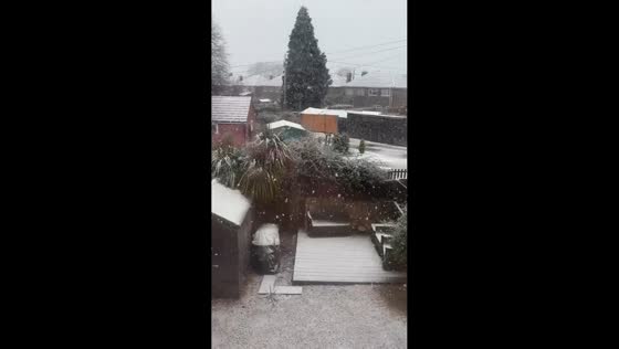 Steady snowfall continues to accumulate and covers the area in Norfolk, UK