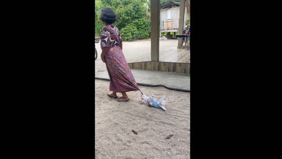 Dog hilariously drags itself along by biting person's cloth
