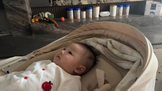 Infant and dog watch moving bird toy together in Fujian, China