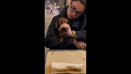 Man stops dachshund from barking at a big dog in Girona, Spain