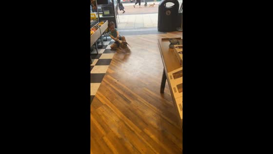 Child surprises parent by catching pigeon in Gillingham, Kent