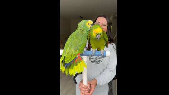 84-Year-old parrot and companion chat with caretaker in Utrecht