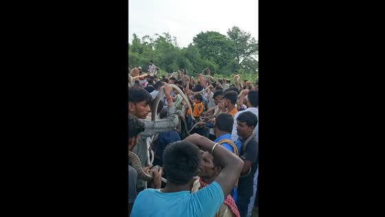 Annual snake festival in Samastipur, Bihar