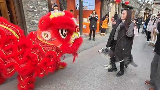 Dog barks at dragon dancers but retreats when confronted