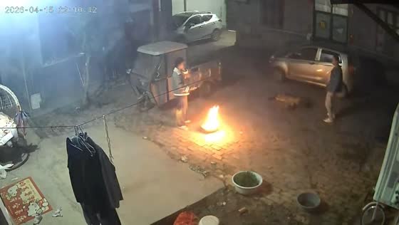 German Shepherd grabs lit firecracker in Shandong, China
