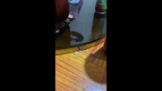 Sneaky lizard grabs rice from dinner table in Manila, Philippines