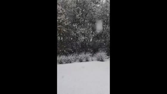 Thick snow falls across Sioux Falls, South Dakota, USA