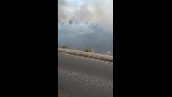 Massive forest fire engulfs Altos de Menga, Cali: authorities launch investigation
