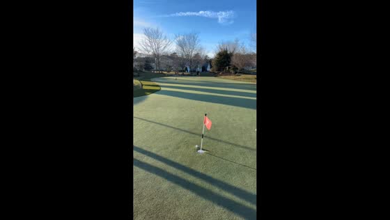 Golfer sinks perfect shot in heartwarming Christmas moment in Michigan, USA