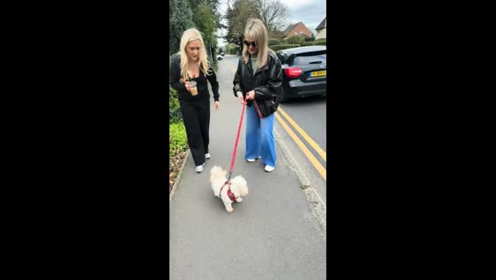 Dog refuses to drop mouse during walk in Buckinghamshire, England, UK