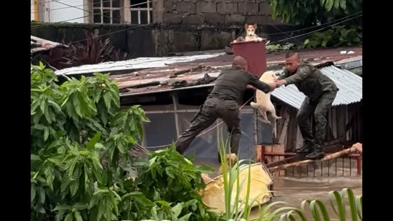 Soldiers rescue dogs from flooding in Bula, Camarines Sur