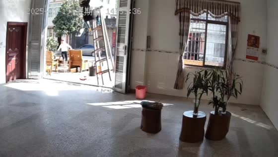 Woman falls from ladder after it folds in Guangzhou, China