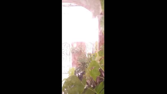 Unexpected thunderstorm delight: a rainy glimpse for distant parents