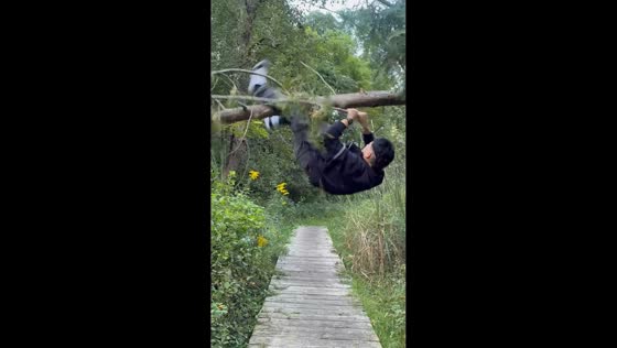 Man hilariously falls while attempting to climb fallen tree trunk in Milwaukee, USA