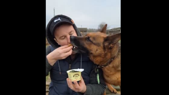 Dog snatches potato pancake and sour cream from owner