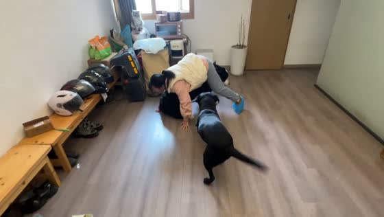 Large dog knocks down woman during playful encounter in Sichuan, China