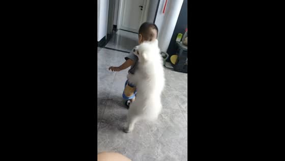 Child playfully walks with dog clinging on his back in Hubei, China