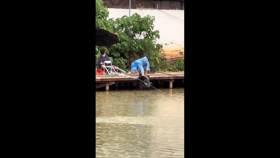 Fisherman loses big catch while transferring fish in Guangxi, China