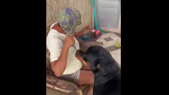 Dog takes owner's mother's scarf in Rio de Janeiro