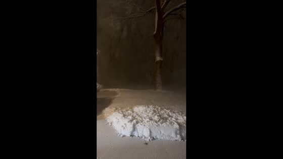 Heavy nighttime snowfall and strong winds blanket St. Cloud, USA