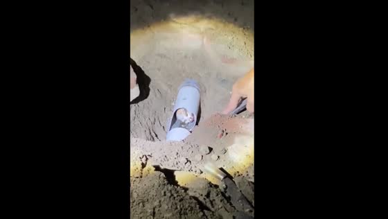 Local heroes unite: rescuing trapped kitten after 3 days