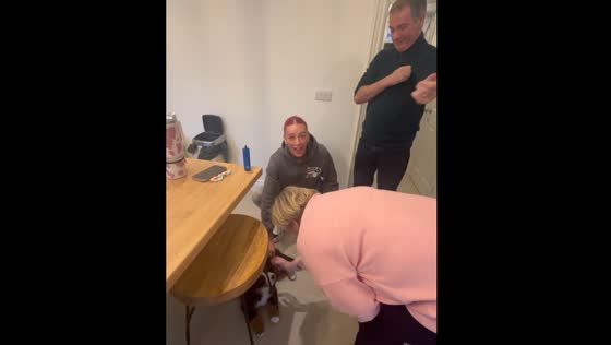 Family surprised with a puppy in Lisburn