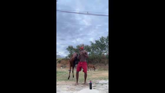 Man startled by horse while dancing in Serra, Espírito Santo, Brazil