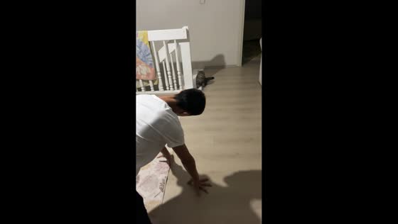Friend mimicking cat scares real cat in Zonguldak, Turkey