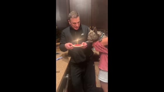 Dog surprises crowd by blowing out birthday candles in Long Island, New York, USA