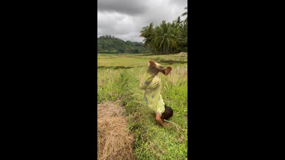 Backflip mishap in Bohol rice field, Philippines