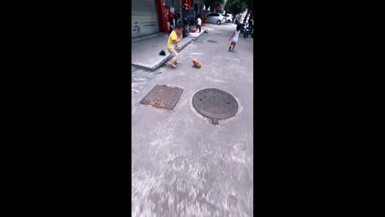 Tiny puppy joyfully chases kids in adorable street play in Guangdong, China