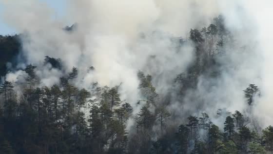 Sauratown mountain blaze: firefighters battle uncontained wild fire  