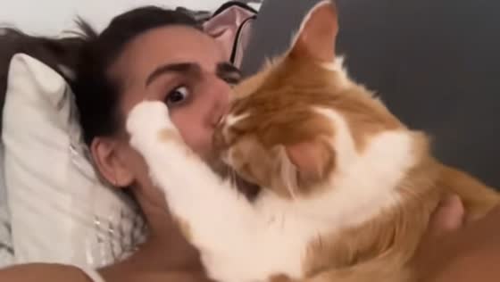 Cat returns kiss to owner in Ciudad Real, Spain