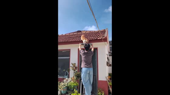 Owner rescues cat safely from rooftop in Shandong, China