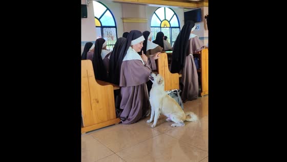 Dog quietly joins sister in prayer at church in Philippines