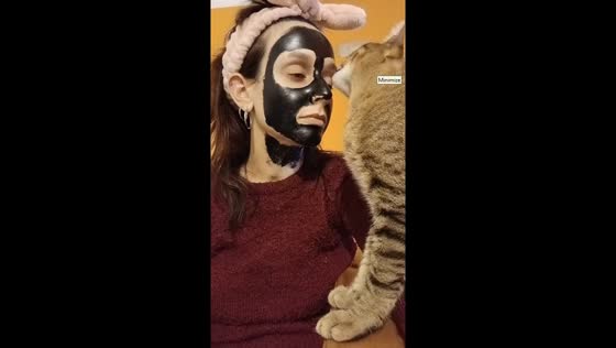 Cat reacts to owner's charcoal mask in La Plata, Argentina