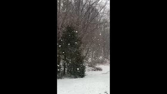Large snowflakes fall during winter storm in Hampton, Tennessee, USA