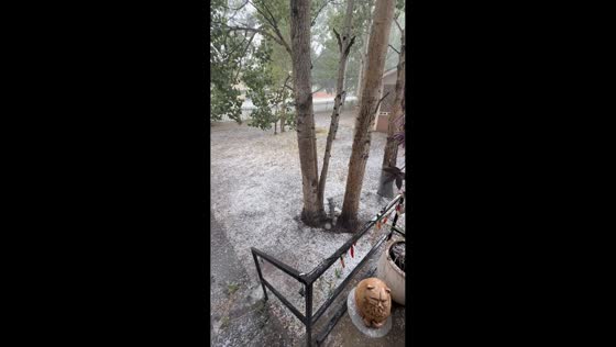 Severe hailstorm covers residential yard in white ice in Alamosa East, USA