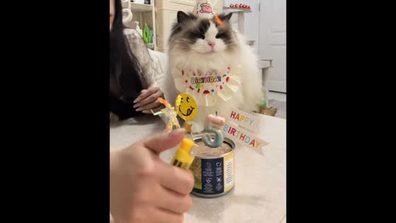 Cat’s fur catches fire while lighting birthday candle in Guangdong, China