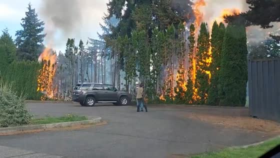 Fire burns trees and vegetation at Highlands Golf Course in Tacoma, Washington