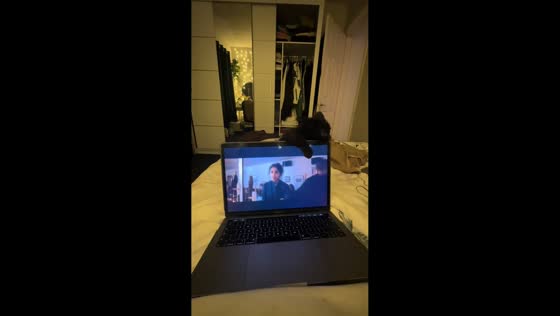 Kitten playfully jumps on laptop for attention in Essex, England, UK