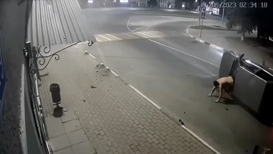 Miraculous escape: two survive terrifying car crash in Pavlovsky Posad