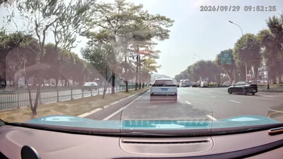 Car crashes into vehicles and a tree near an intersection in Fujian, China